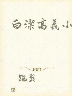 白洁高义小说封面