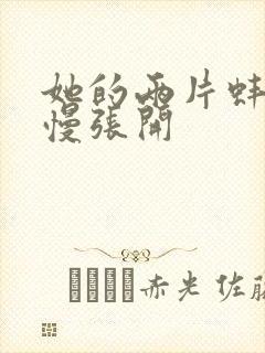 她的两片蚌肉慢慢张开