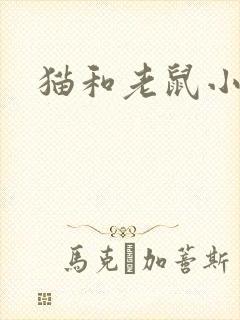 猫和老鼠小说