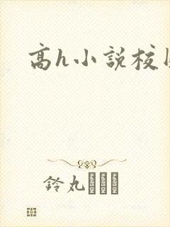高h小说校园
