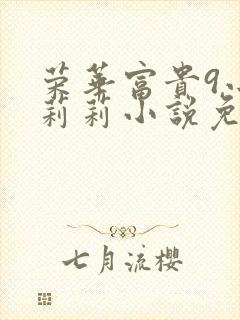 荣华富贵9小王莉莉小说免费阅读封面