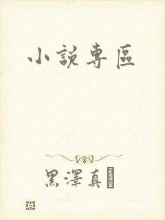 小说专区