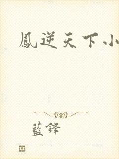 凤逆天下小说