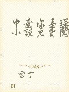 中意你秦琛苏沫小说免费阅读