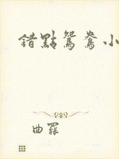 错点鸳鸯小说