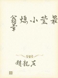 翁熄小莹最新节章封面