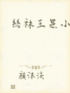 丝袜玉足小说封面