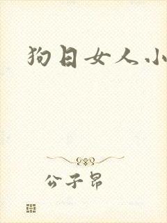 狗日女人小说