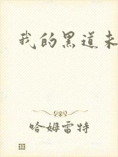 我的黑道未婚夫