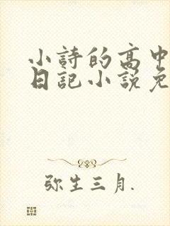 小诗的高中成长日记小说免费阅读封面