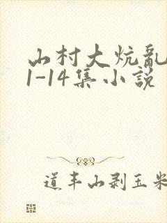 山村大炕乱肉续1-14集小说