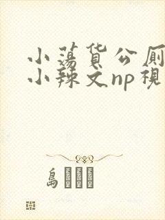 小荡货公厕h文小辣文np视频