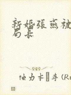 新婚张燕被两个局长封面