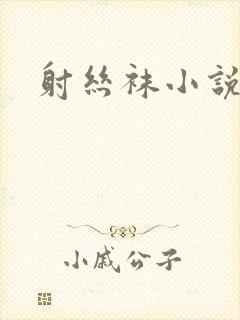 射丝袜小说