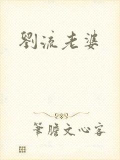 刘流老婆封面