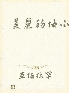 美丽的他小说