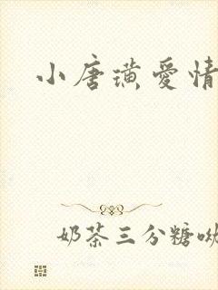 小唐璜爱情历史