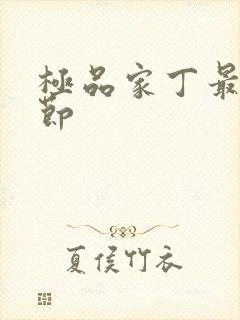 极品家丁最新章节封面