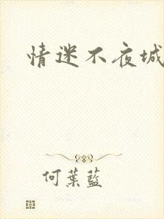 情迷不夜城