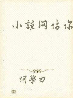 小说网站你懂的