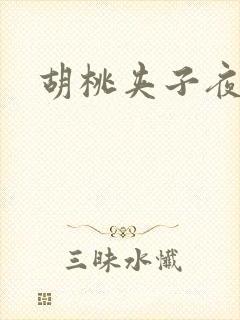 胡桃夹子夜未眠