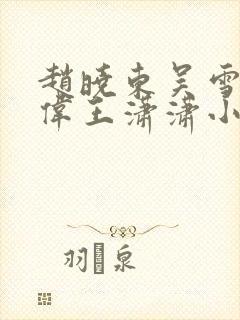 赵晓东吴雪晴郑伟王潇潇小说名字