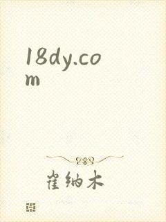 18dy.com