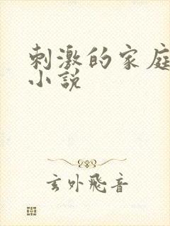 刺激的家庭乱仑小说