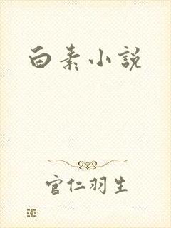 白素小说