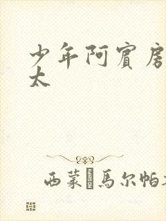 少年阿宾房东太太封面