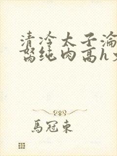 清冷太子沦为禁胬纯肉高h文封面