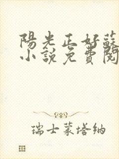 阳光正好苏玥玥小说免费阅读