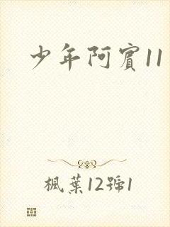 少年阿宾11