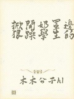 掀开奶罩边躁狠狠躁学生的小文字