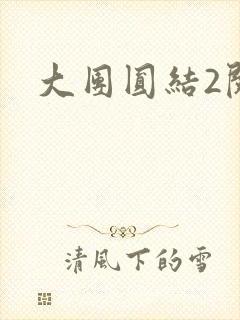 大团圆结2阅读