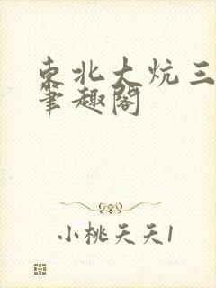 东北大炕三部曲笔趣阁