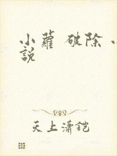 小萝 破除 小说