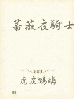 蔷薇夜骑士