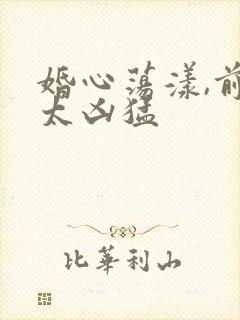 婚心荡漾,前夫太凶猛封面