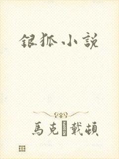 银狐小说