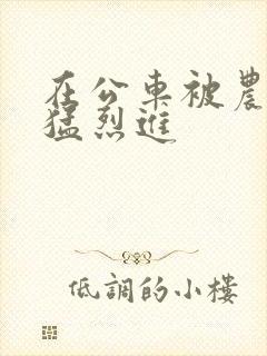 在公车被农民工猛烈进