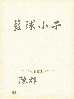 篮球小子