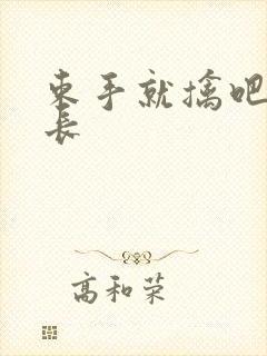 束手就擒吧韩队长