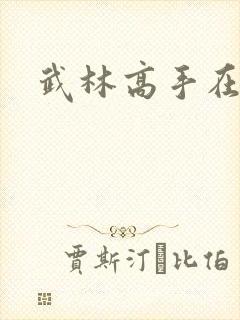 武林高手在异界