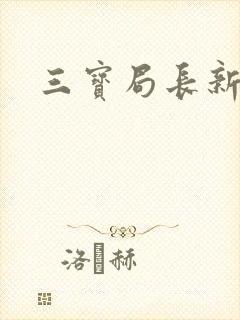 三宝局长新编封面