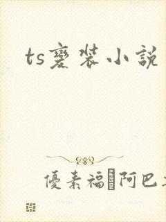 ts变装小说封面