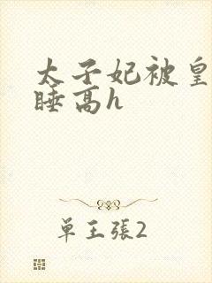 太子妃被皇上强睡高h