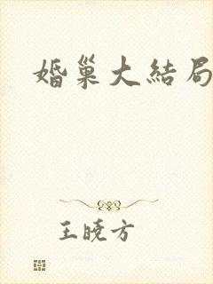 婚巢大结局封面
