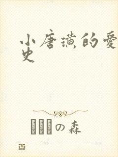 小唐璜的爱情历史