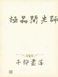 极品开光师